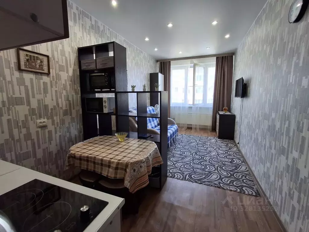 Студия Московская область, Дмитров ул. Спасская, 19 (25.0 м) - Фото 1