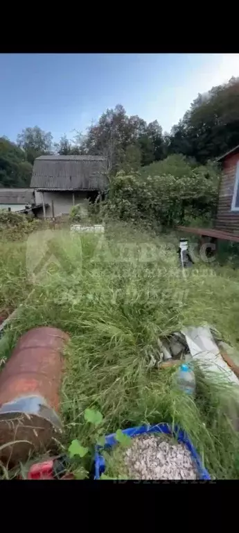 Участок в Краснодарский край, Сочи городской округ, с. Каштаны, ... - Фото 2