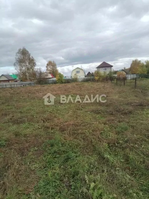 Участок в Новосибирская область, Новосибирский район, Ярковский ... - Фото 1