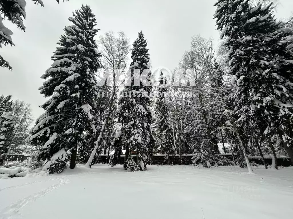 Участок в Москва пос. Толстопальцево, Железнодорожная ул., 10 (6.0 ... - Фото 1