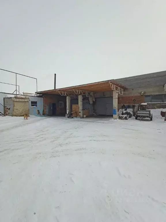 Помещение свободного назначения в Омская область, Черлак рп ул. ... - Фото 2