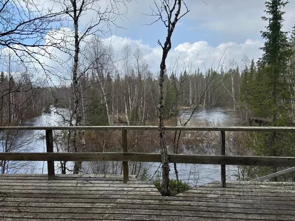 Участок в Мурманская область, Кольский муниципальный округ, Пак ... - Фото 1