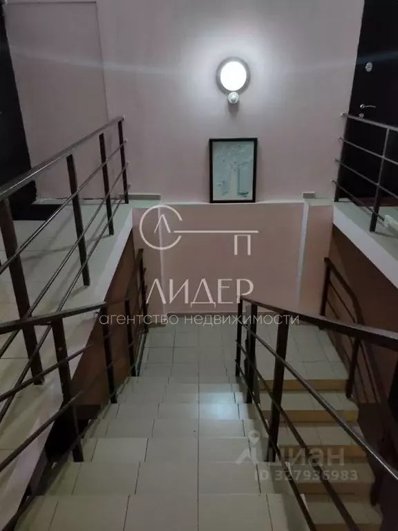 1-к кв. Краснодарский край, Сочи городской округ, с. ... - Фото 2