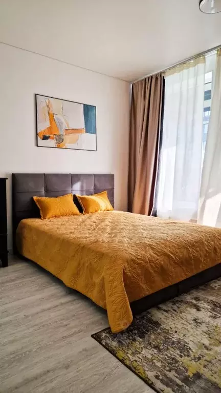 Студия Санкт-Петербург Светлановский просп., 14к1 (24.8 м) - Фото 0