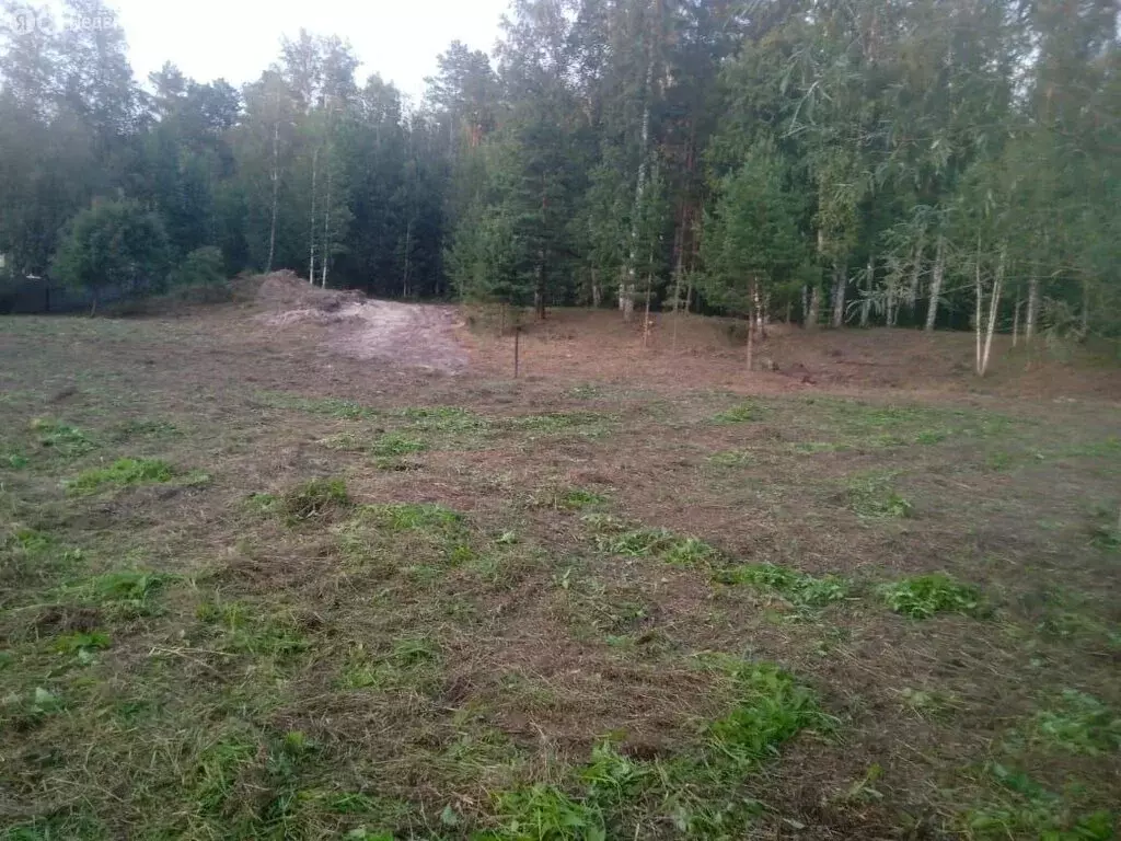Участок в Тюменский район, СНТ Лесное, Лесная улица (10 м) - Фото 0