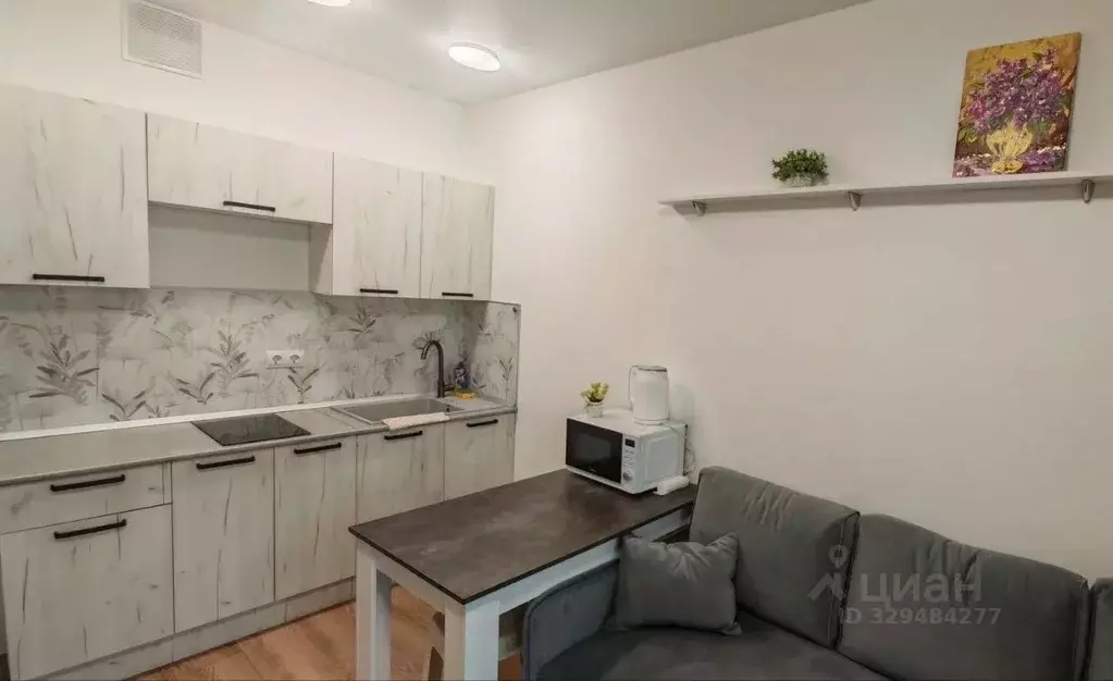 Студия Москва ул. Большое Понизовье, 8 (20.0 м) - Фото 2