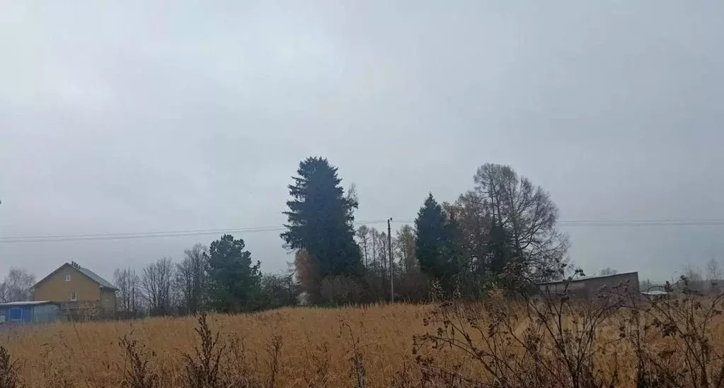 Участок в Московская область, Дмитровский муниципальный округ, д. ... - Фото 1