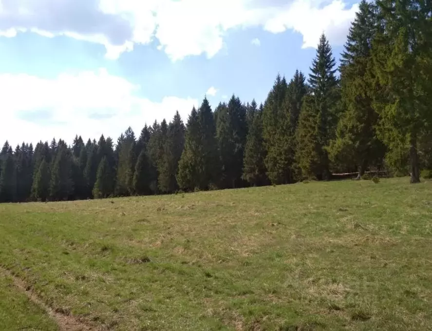 Участок в Владимирская область, Александровский район, Следневское ... - Фото 0