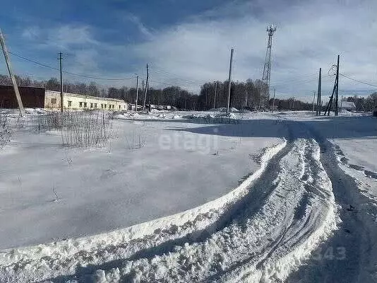 Участок в Новосибирская область, Новосибирский район, Раздольненский ... - Фото 1
