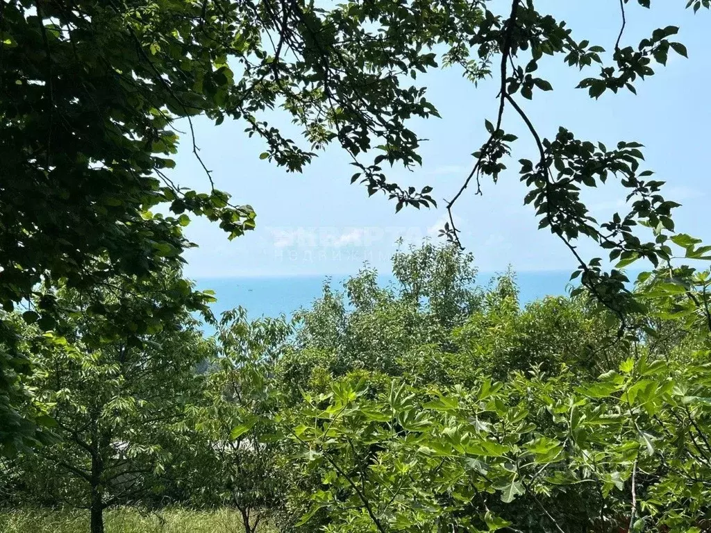 Участок в Краснодарский край, Сочи Лазаревское жилрайон, ул. ... - Фото 2