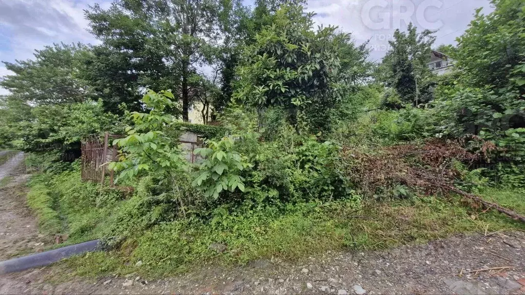 Участок в Краснодарский край, Сочи городской округ, с. Верхний Юрт ул. ... - Фото 2