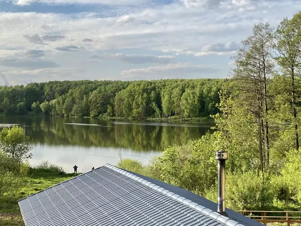 Дом в Московская область, Ленинский городской округ, д. Спасское 118 ... - Фото 1