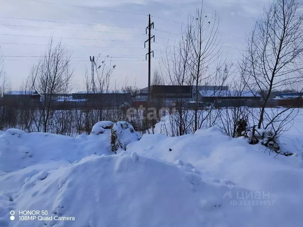 Участок в Новосибирская область, Новосибирский район, Кудряшовский ... - Фото 1