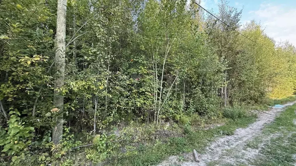 Участок в Ханты-Мансийский АО, Ханты-Мансийск Медик СОТ,  (9.99 сот.) - Фото 2