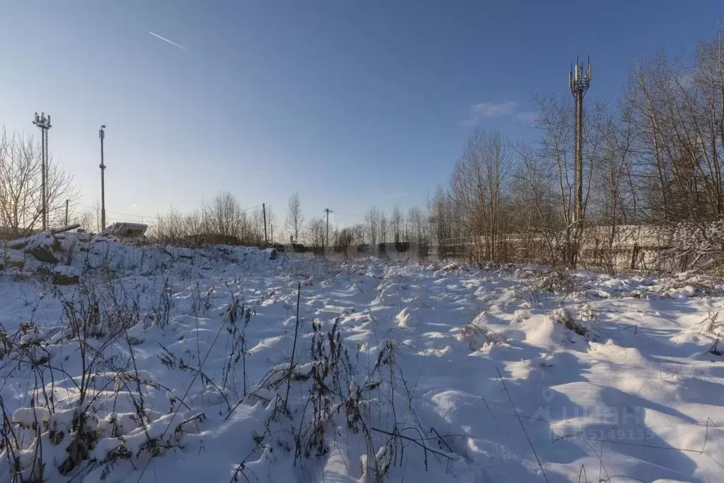 Участок в Пермский край, Пермский муниципальный округ, с. Ляды ул. ... - Фото 1