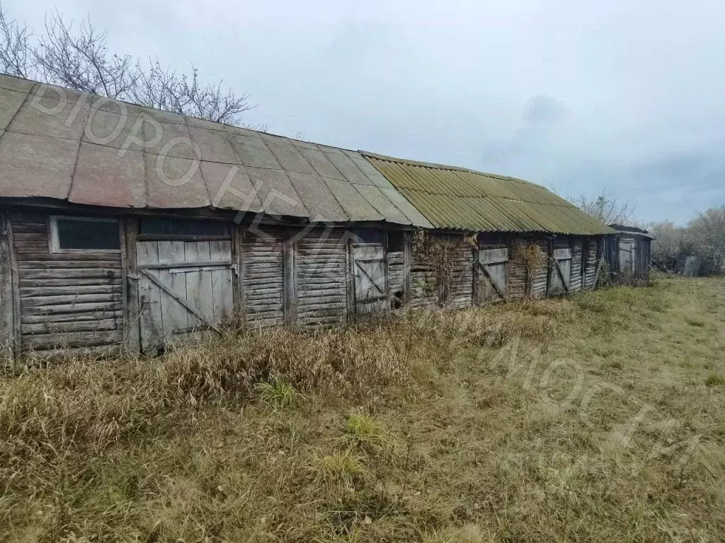 Дом в Саратовская область, Балашовский район, с. Большой Мелик Садовая ... - Фото 1