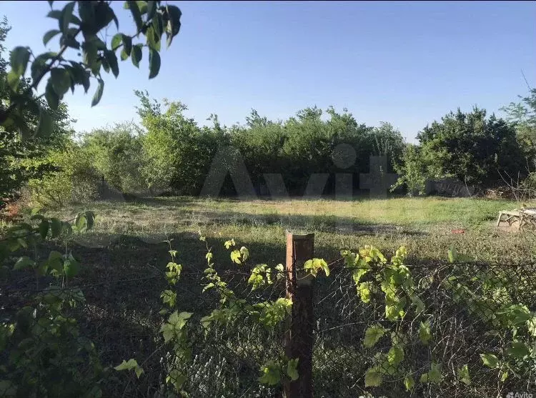 Участок 6 сот. (СНТ, ДНП) - Фото 1