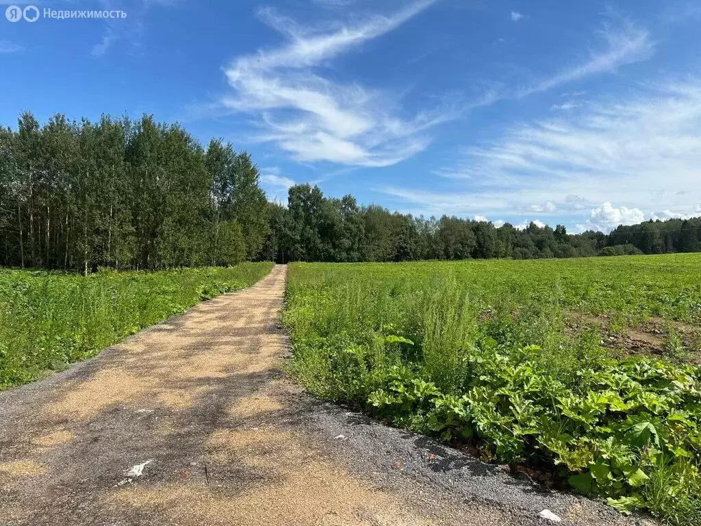 участок в московская область, городской округ клин, коттеджный поселок . - Фото 1