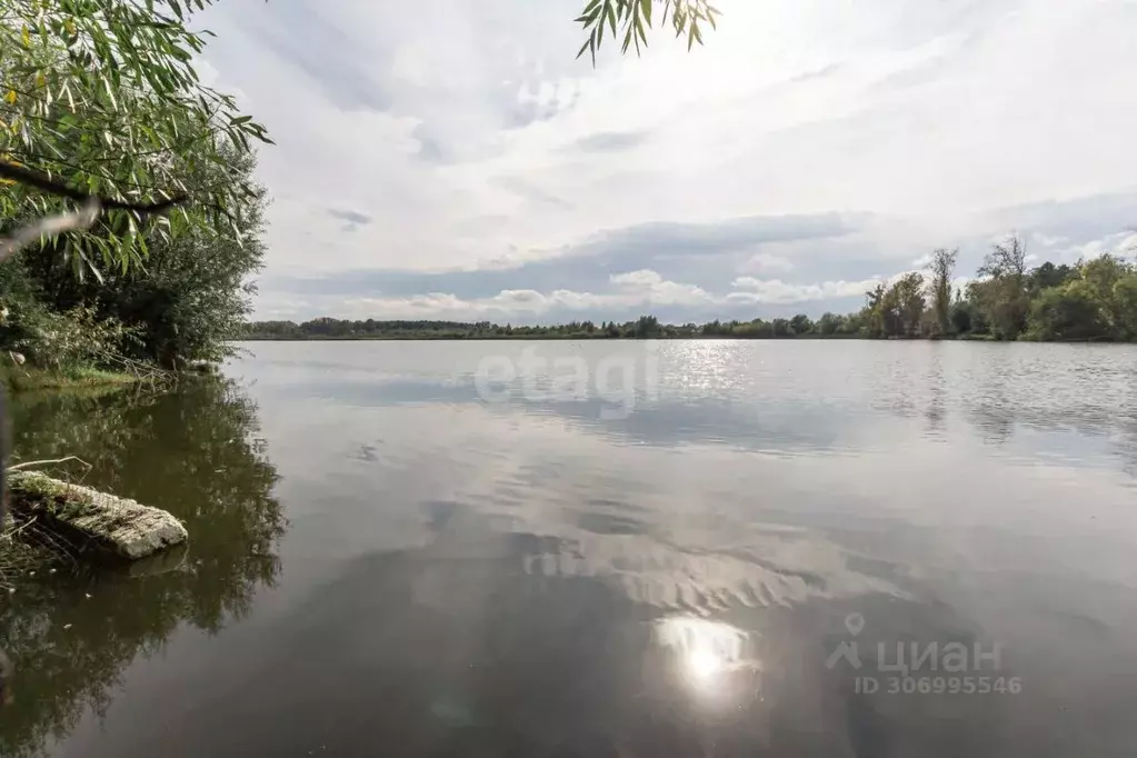 Дом в Алтайский край, Барнаул городской округ, с. Лебяжье ул. ... - Фото 1