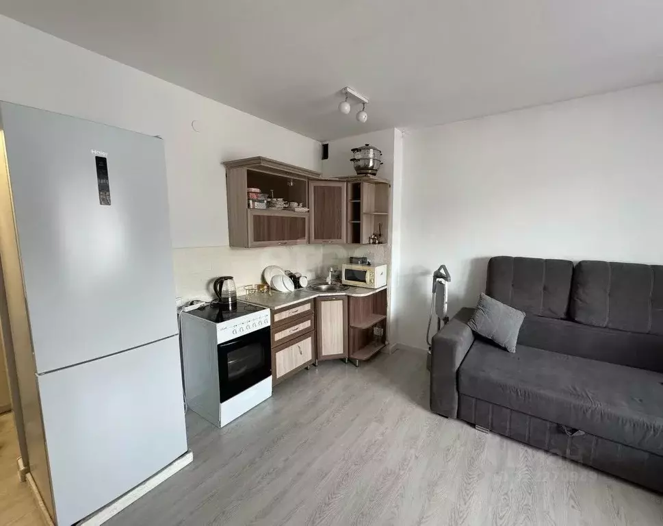 Студия Алтай, Майминский район, с. Майма ул. Березовая роща (27.0 м) - Фото 1