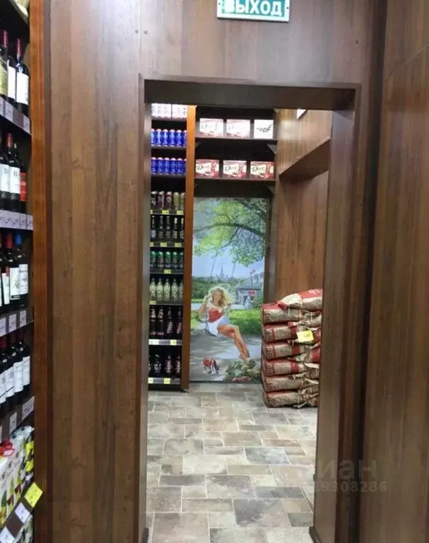 Помещение свободного назначения в Москва Большой Саввинский пер., 3 ... - Фото 1