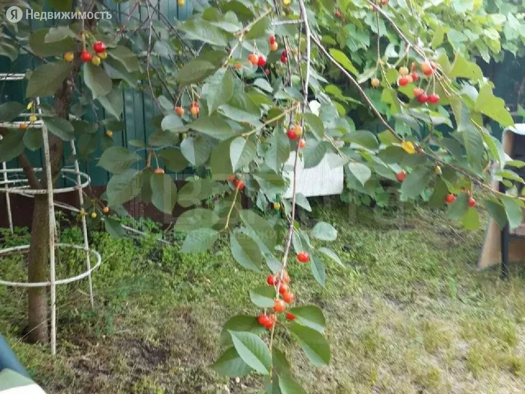 Дом в Воронеж, Варшавская улица (100 м), Купить дом в Воронеже, ID объекта  - 50012777501