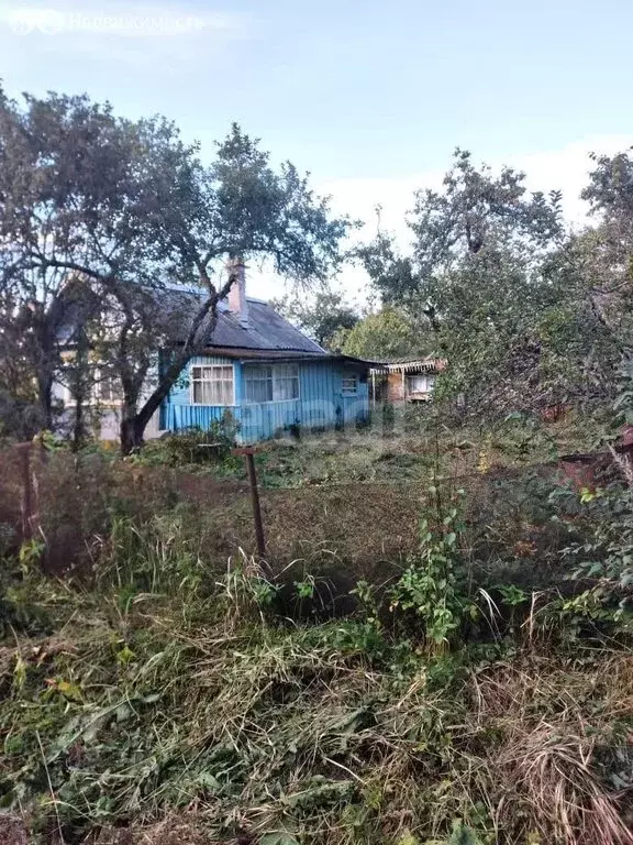 Дом в Псковская область, Плюсский муниципальный округ, деревня Которск ... - Фото 2