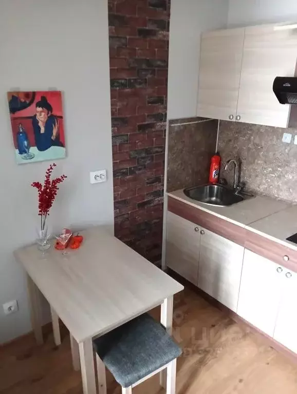 1-к кв. Санкт-Петербург пос. Парголово, проезд Толубеевский, 8к2 (24.0 ... - Фото 1