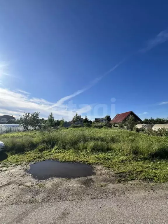 Участок в Ленинградская область, Ломоносовский район, Горбунковское ... - Фото 1