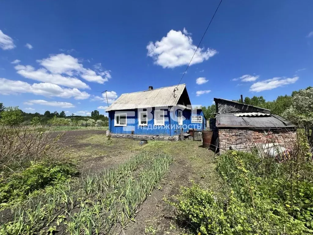 Дом в Кемеровская область, Беловский муниципальный округ, с. Мохово ... - Фото 2