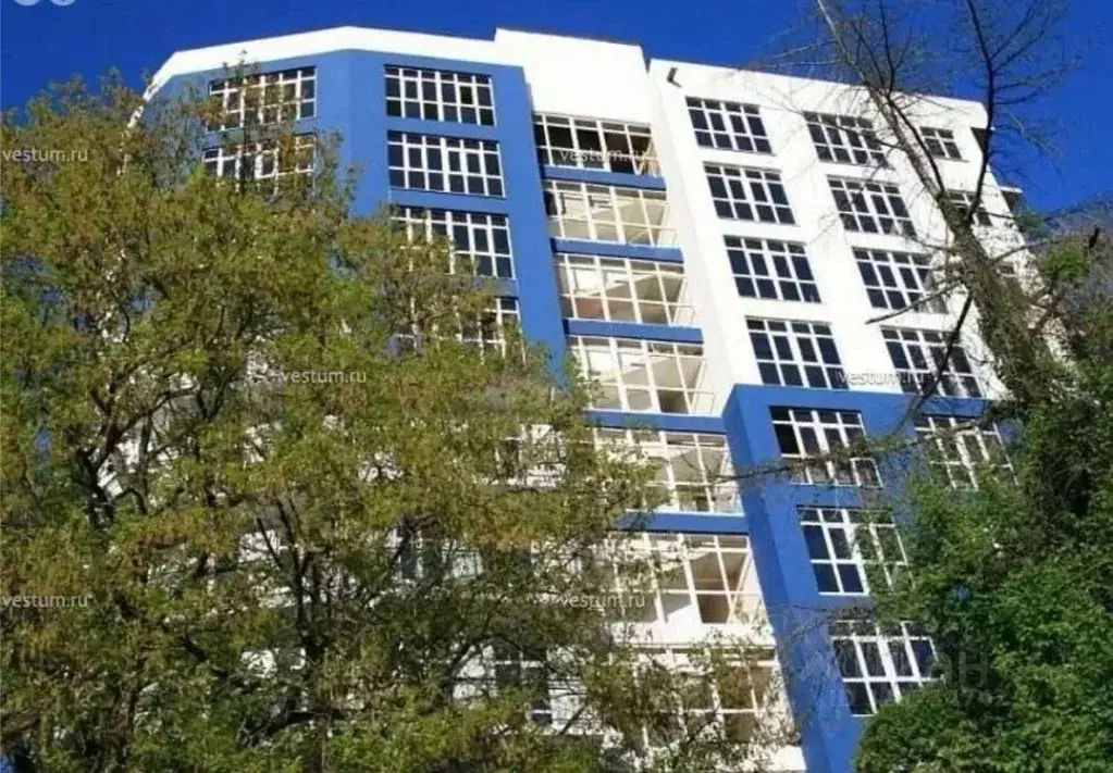 Студия Краснодарский край, Сочи ул. Яна Фабрициуса, 2/26А (28.0 м) - Фото 1