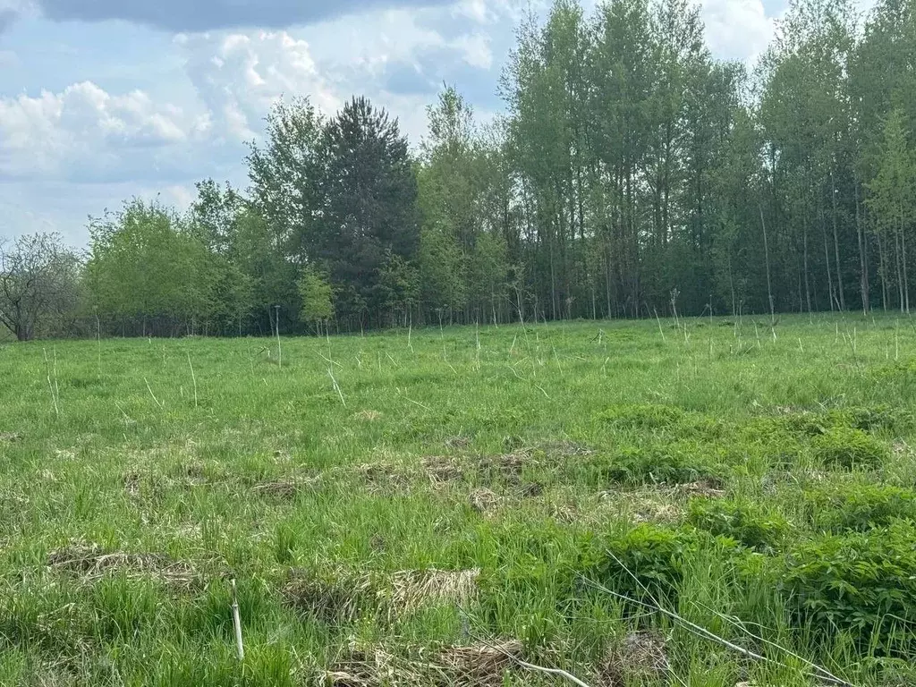 Участок в Московская область, Богородский городской округ, с. ... - Фото 2