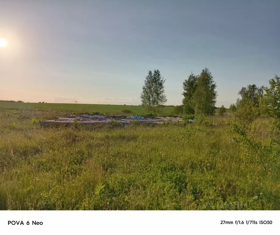 Участок в Московская область, Коломна городской округ, д. Дворики  ... - Фото 0
