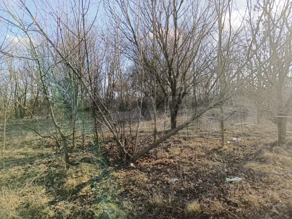 Участок 5,4 сот. (ИЖС) - Фото 1