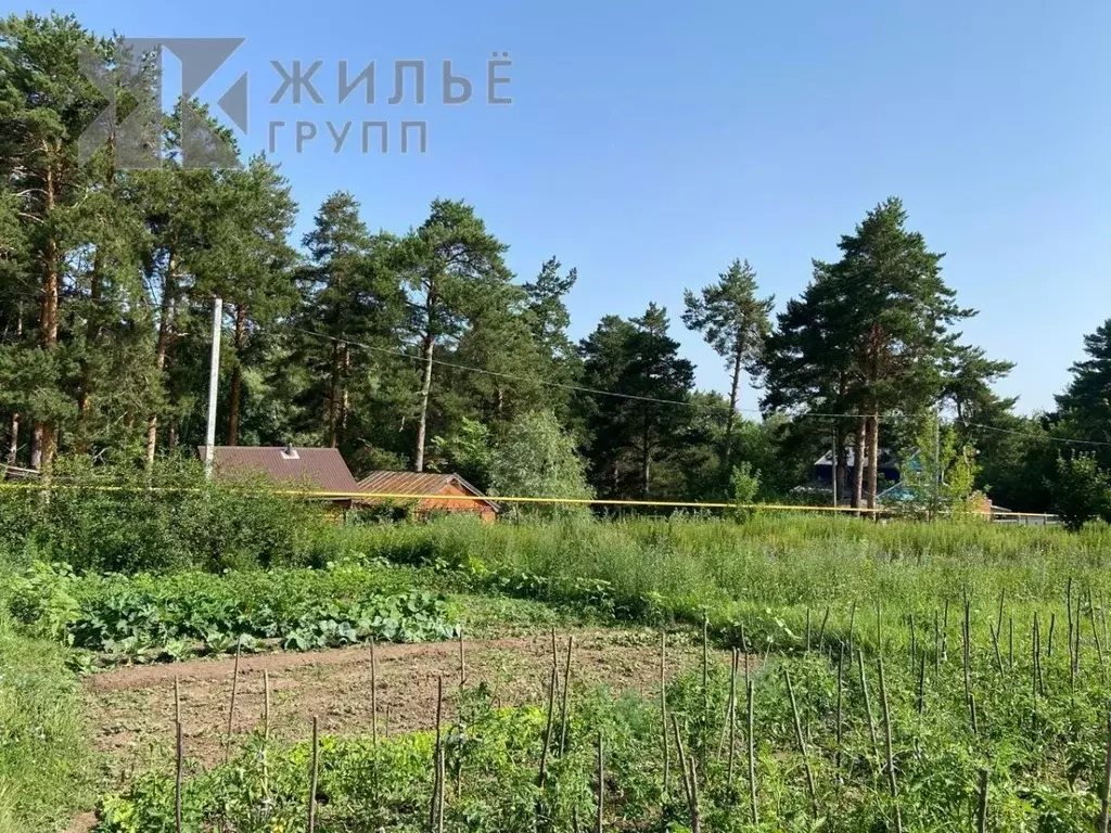 Участок в Татарстан, Верхнеуслонский район, Шеланговское с/пос, пос. ... - Фото 2
