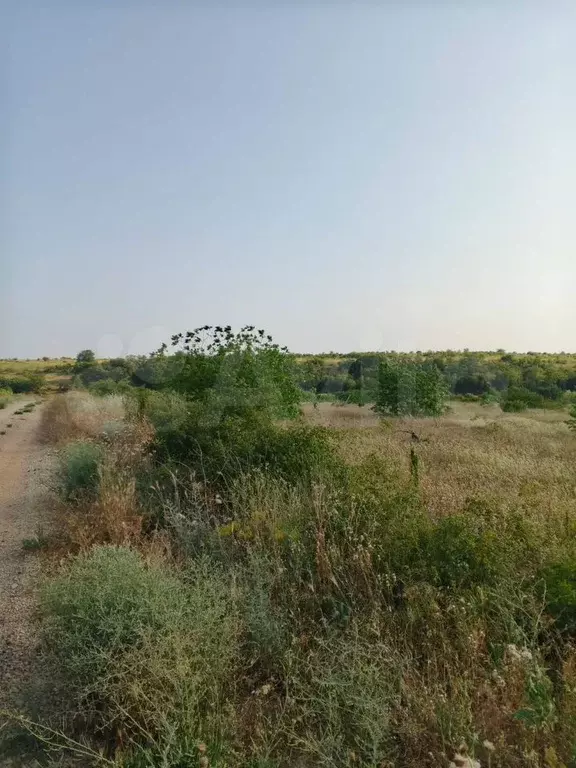 Участок 150 га (СНТ, ДНП) - Фото 1