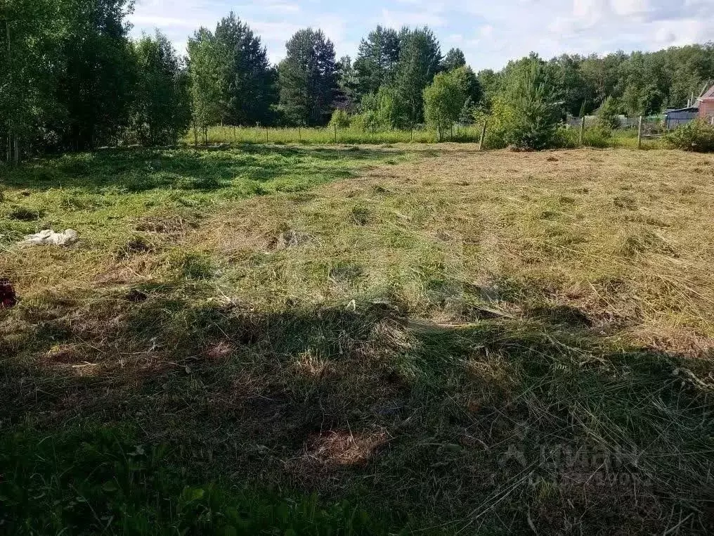 Участок в Московская область, Клин городской округ, Надежда садовое ... - Фото 2