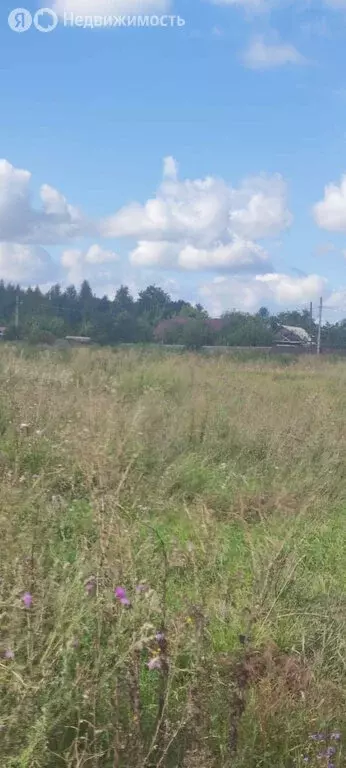 Участок в Репное, Степная улица, 20 (15 м) - Фото 0