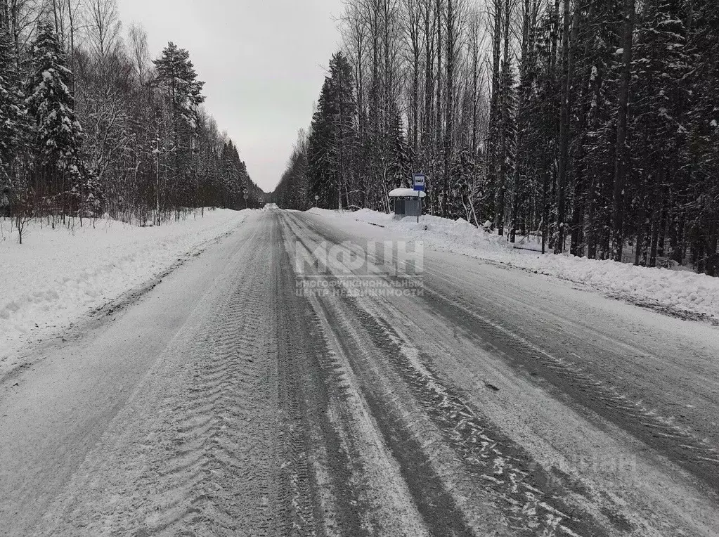 Участок в Карелия, Прионежский район, Деревянское с/пос, Заречье СНТ ... - Фото 1