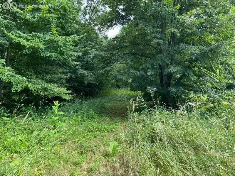 Участок в Майкопский район, Абадзехское сельское поселение, станица ... - Фото 2