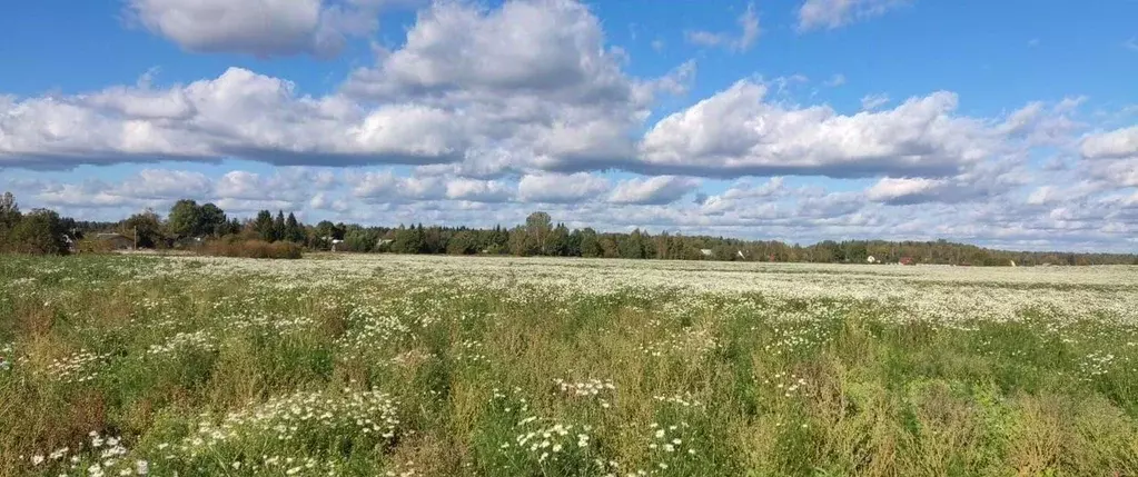 Участок в Ленинградская область, Тосненский район, Любанское городское ... - Фото 1