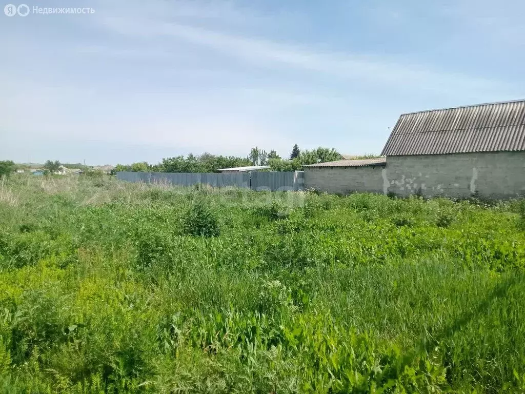 Участок в Белгородская область, рабочий посёлок Волоконовка (15 м) - Фото 1