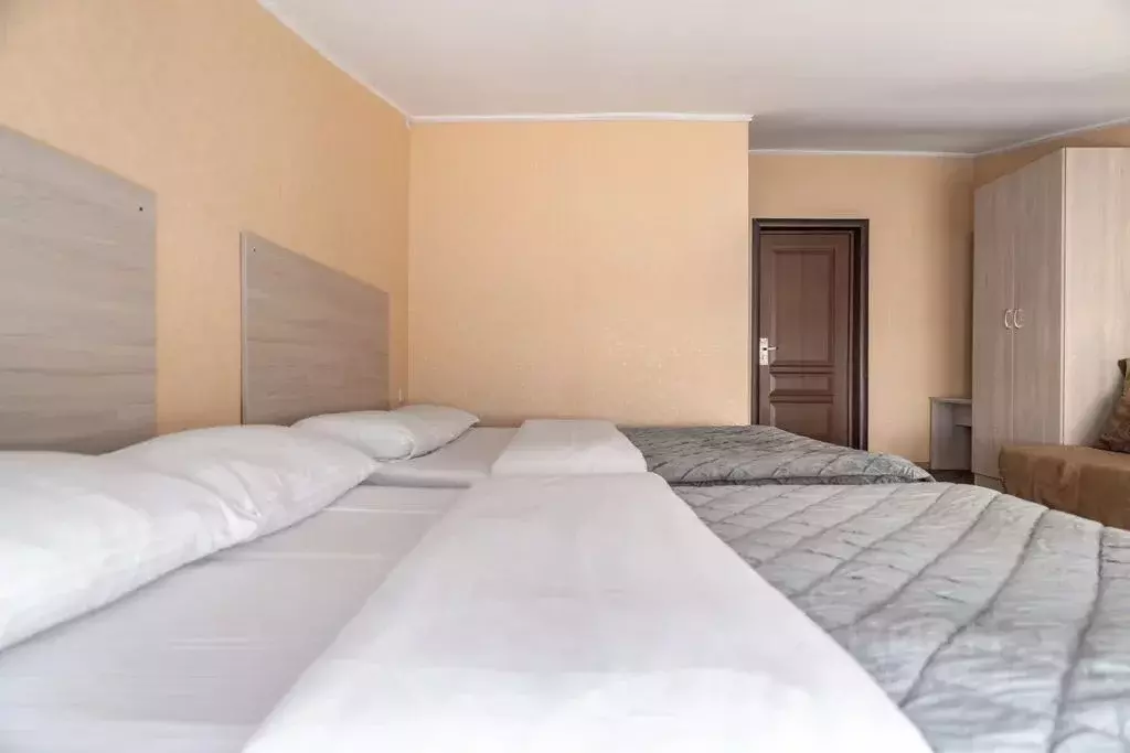 Комната Краснодарский край, Сочи Адлер жилрайон, ул. Павлика Морозова, ... - Фото 2