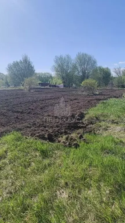 Участок в Владимирская область, Суздальский район, Селецкое ... - Фото 0