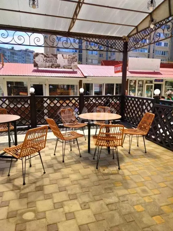 Помещение свободного назначения в Краснодарский край, Анапа ул. ... - Фото 1