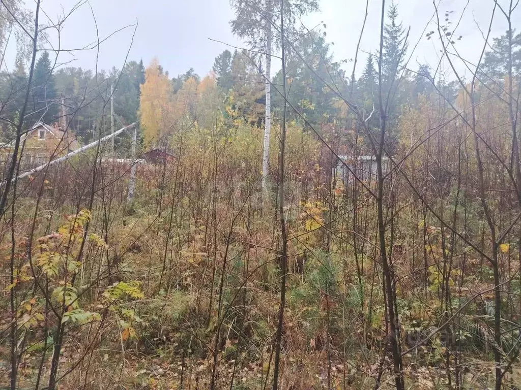 Участок в Свердловская область, Первоуральск муниципальный округ, пос. ... - Фото 1