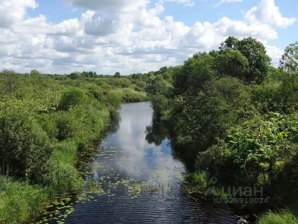 Участок в Тверская область, Кимрский муниципальный округ, д. Одинцово  ... - Фото 1