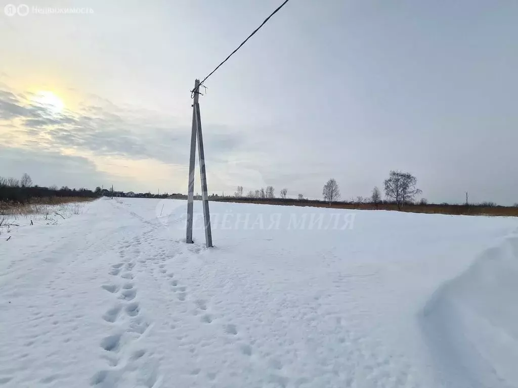 Участок в Тюмень, садовое товарищество Липовый Остров (40 м) - Фото 1