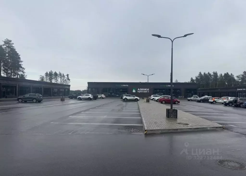 Помещение свободного назначения в Ленинградская область, Всеволожский ... - Фото 2