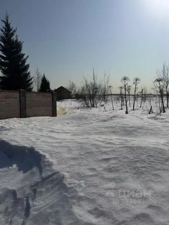 Участок в Московская область, Мытищи городской округ, д. Манюхино  ... - Фото 2